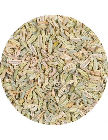 Finocchio semi Bio