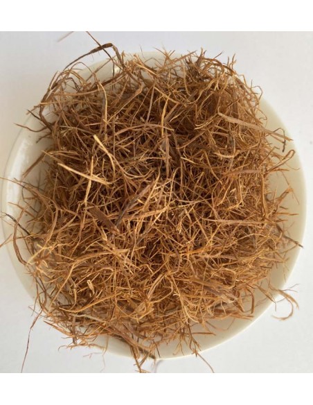 Vilcacora (Uncaria tomentosa)