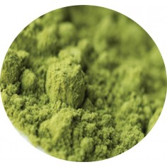 Matcha - J (Gastronomico) Bio