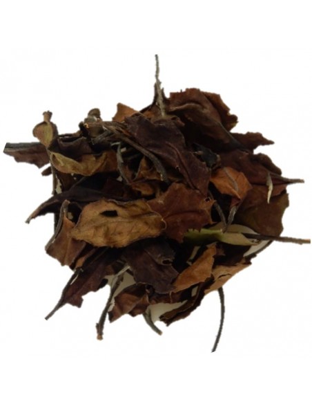 Bvumbwe Peony
