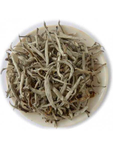 Silver Tips