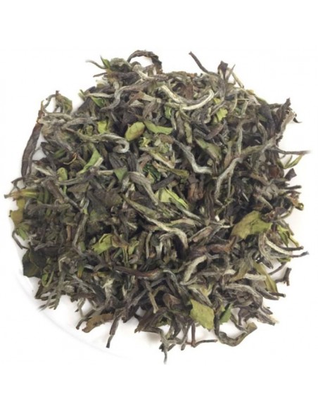 Temi FTGOP1 - FF South Sikkim