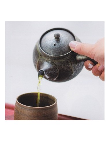 Teiera d'artista Tokuta Fujita 230ml
