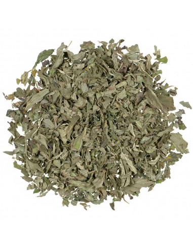 Menta peperita foglie Bio