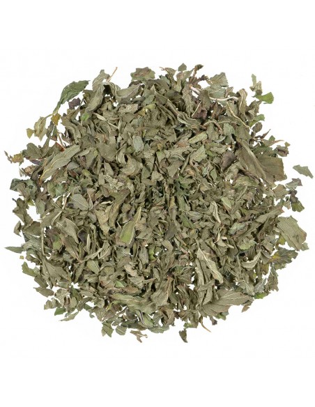 Menta peperita foglie Bio