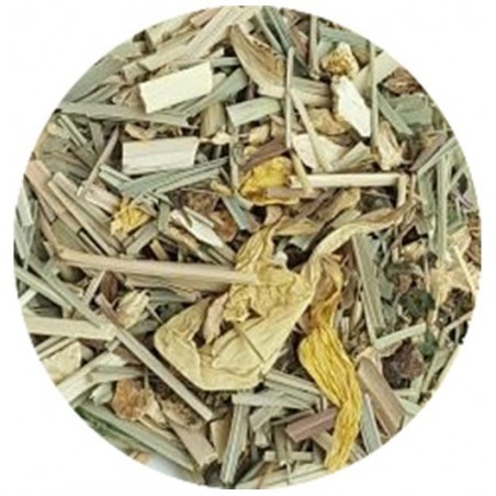 Zenzero e Limone Bio