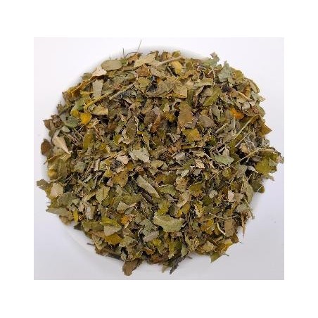 Moringa