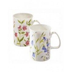 Mug botanical