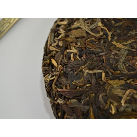 Pu'er Sheng Brick del 2009 (Old Forest)