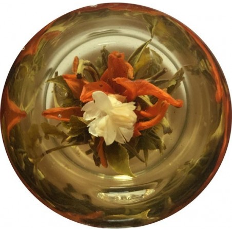 Fortuna Ritrovata