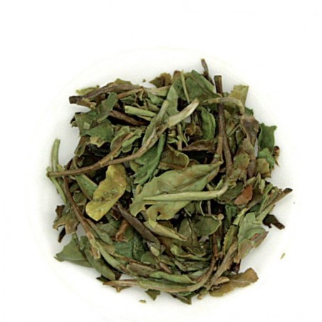 Bai Mu Dan Superior