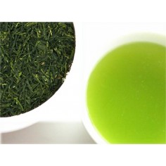 Sencha Asanoka Premium