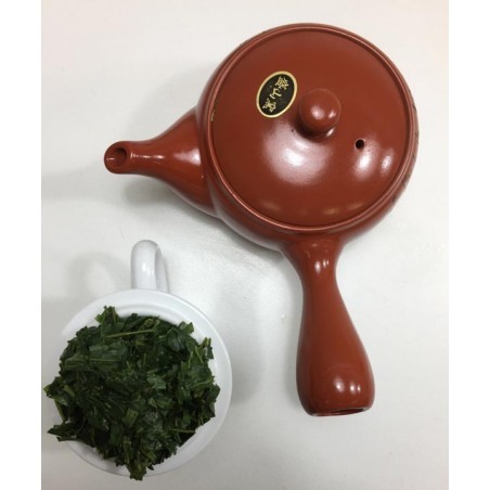 Sencha Kirari 31 Premium