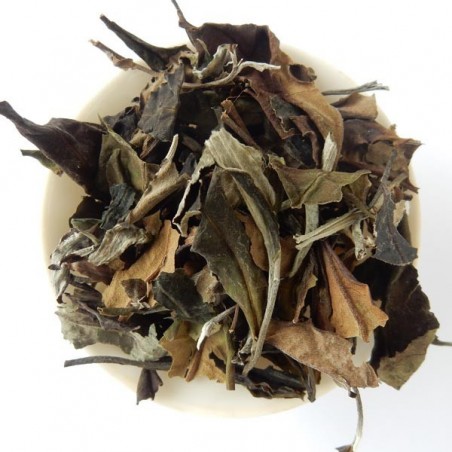 White Shan