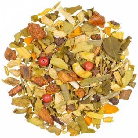 Ginger e Curcuma Bio