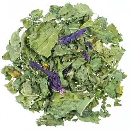 Malva Foglie e fiori