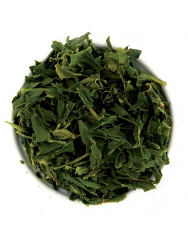 Sencha-Kagoshima Primaverile