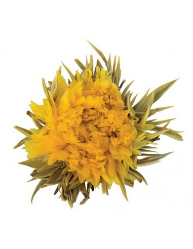 Fior di Calendula